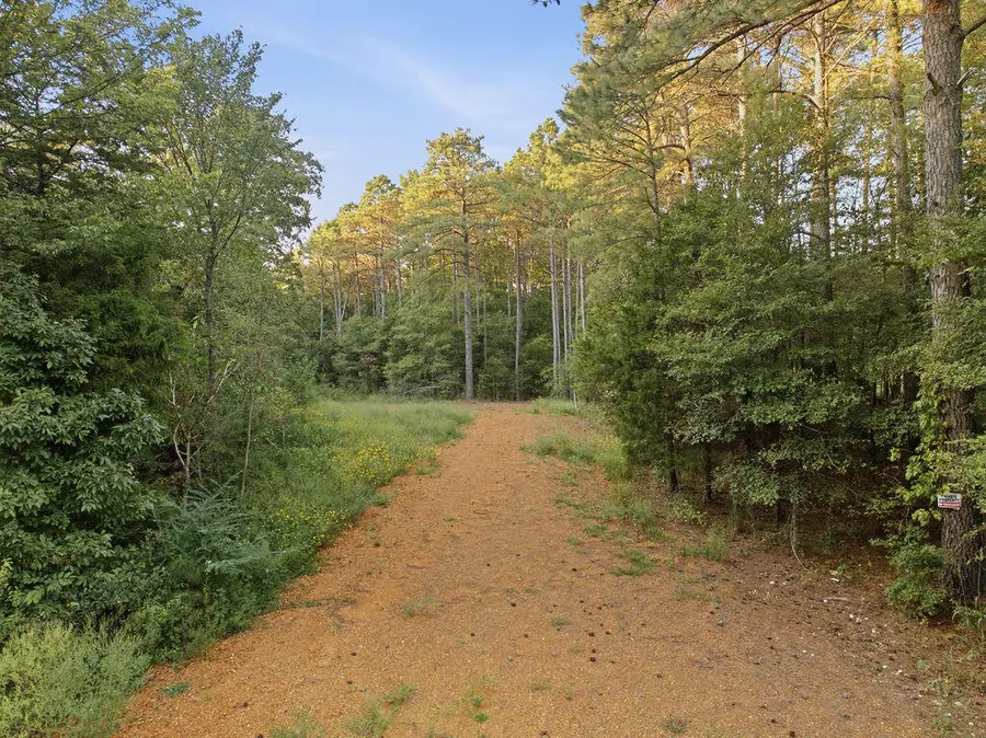 1014 Cypress Trail, New Concord, KY 42076 - #3