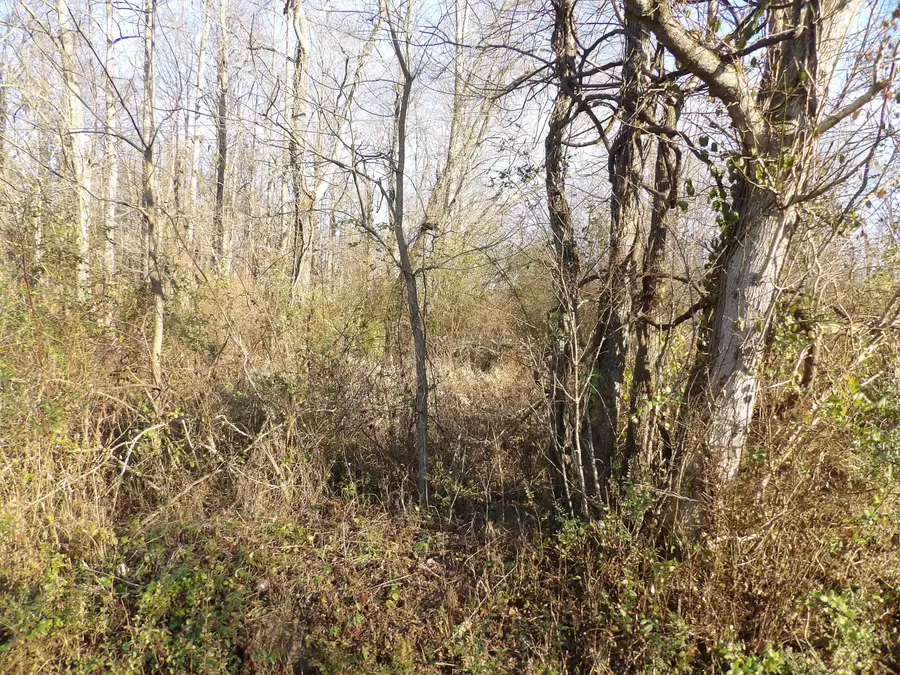 312 Blakely Lane, Middlesboro, KY 40965 - #3