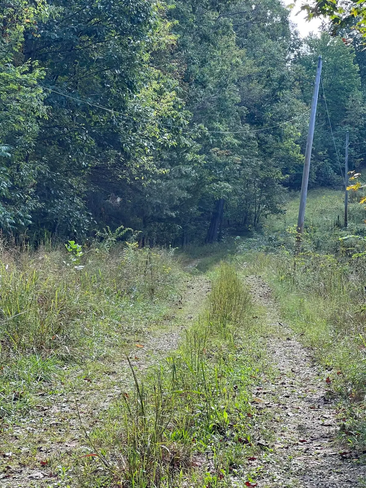 3859 Watson Ridge Road, Ravenna, KY 40472 - #1