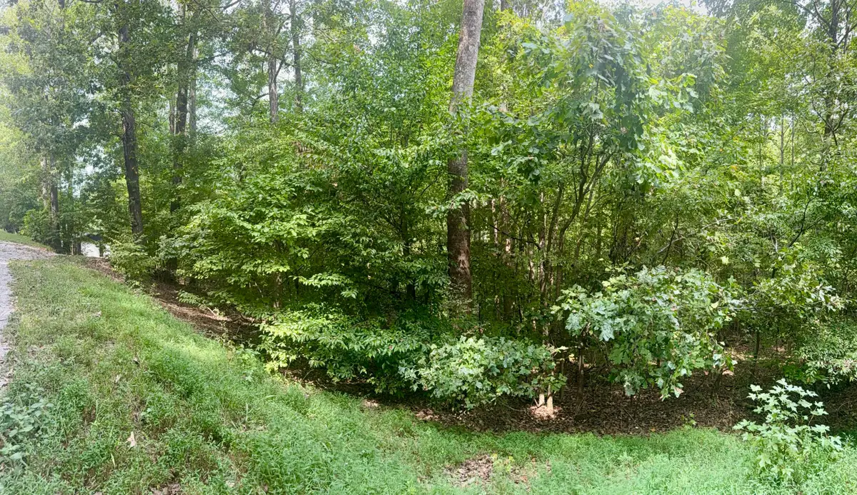 Lot 24E, Lot 25E, Lot 26E Parkersville Road, Eddyville, KY 42038 - #1