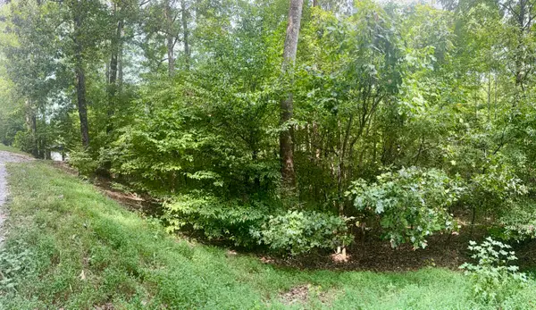 Lot 24E, Lot 25E, Lot 26E Parkersville Road, Eddyville, KY 42038