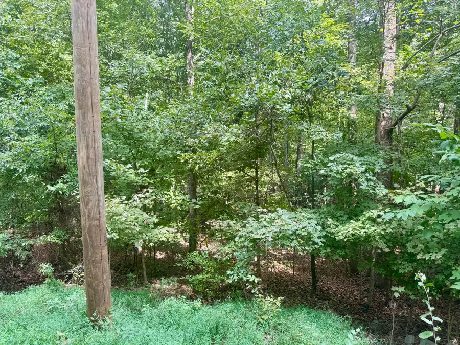 Lot 24E, Lot 25E, Lot 26E Parkersville Road, Eddyville, KY 42038 - #2