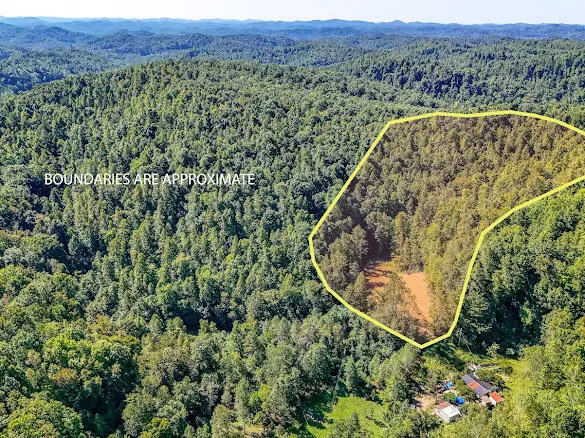 740 Napier Hollow Road, Manchester, KY 40962 - #1