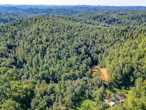 740 Napier Hollow Road, Manchester, KY 40962 - #2
