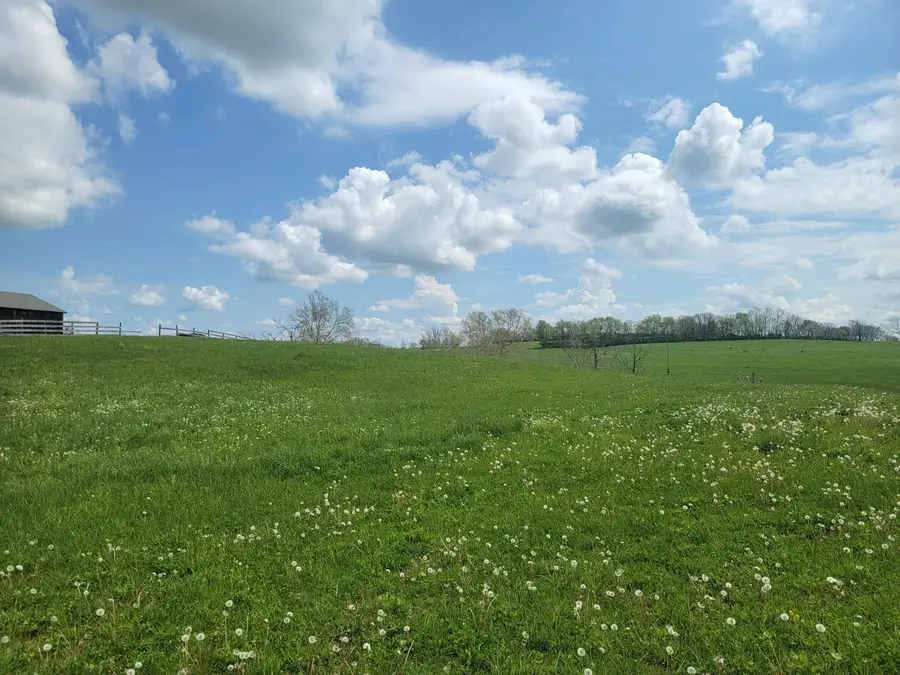 Lot A White Oak Road, Stamping Ground, KY 40379 - #3