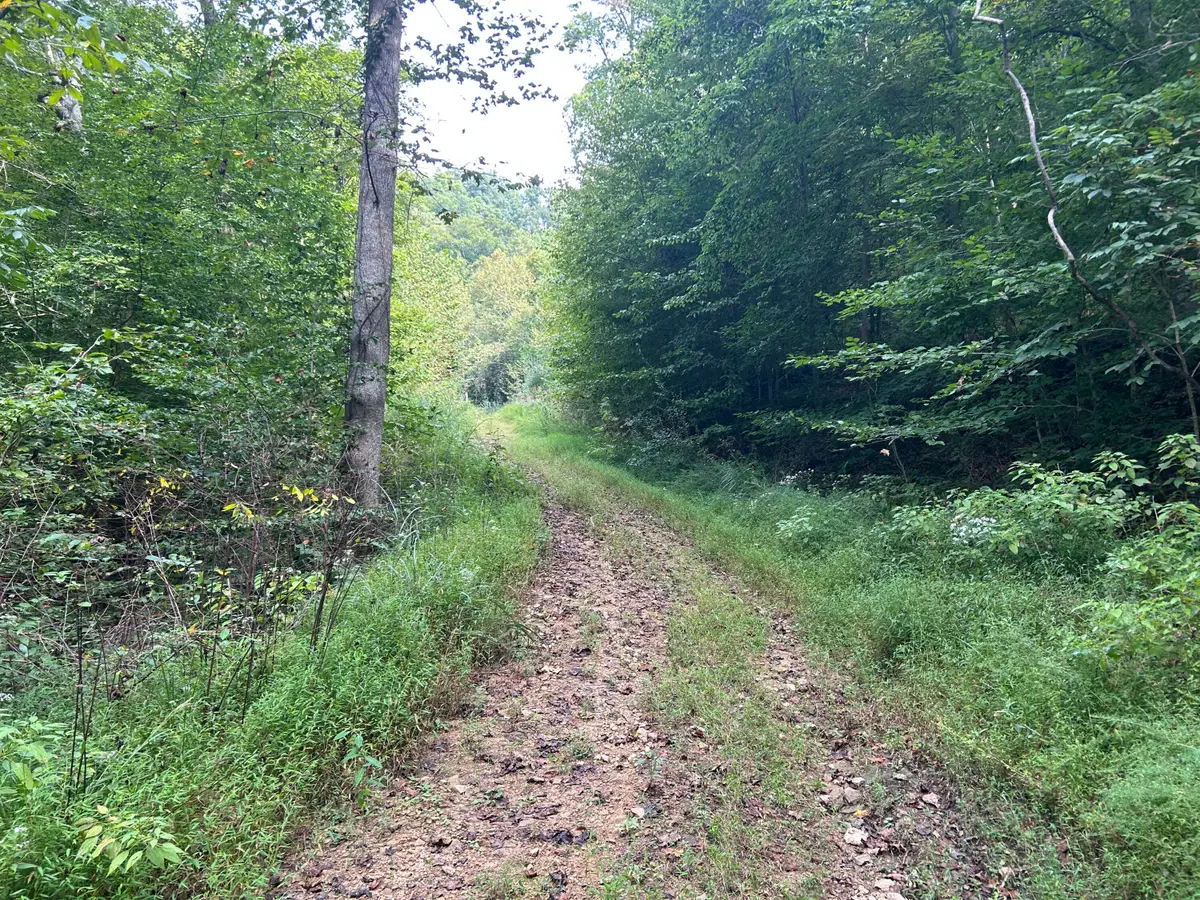 9999 Little Leatherwood Creek Road, Cornettsville, KY 41731 - #1