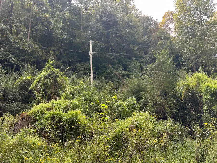 9999 Little Leatherwood Creek Road, Cornettsville, KY 41731 - #2