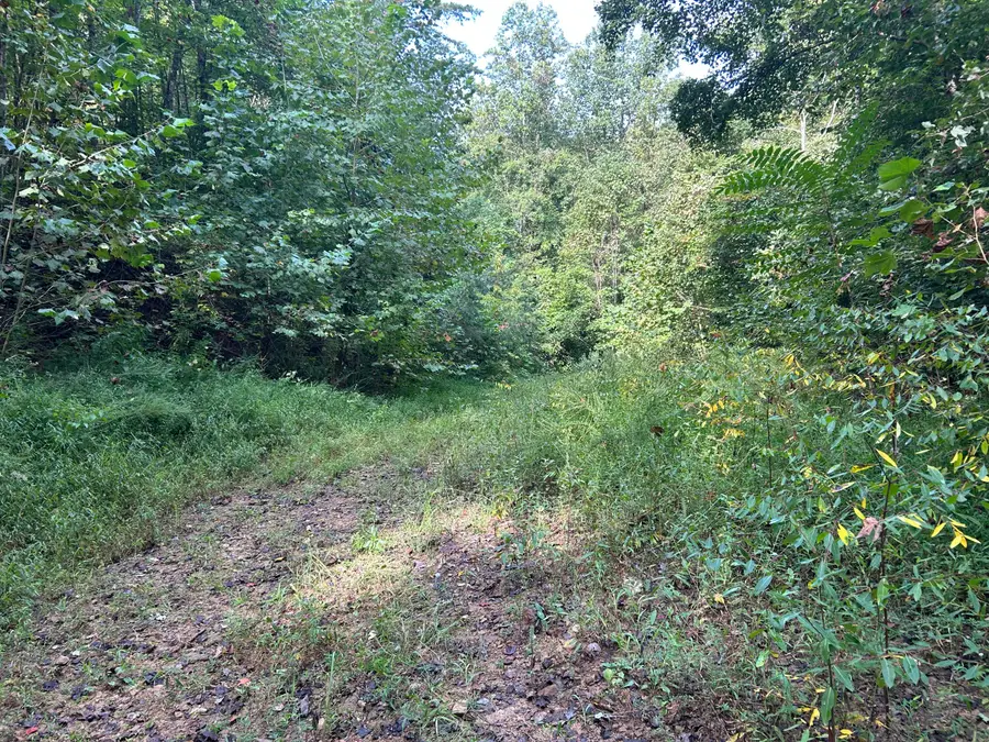 9999 Little Leatherwood Creek Road, Cornettsville, KY 41731 - #3