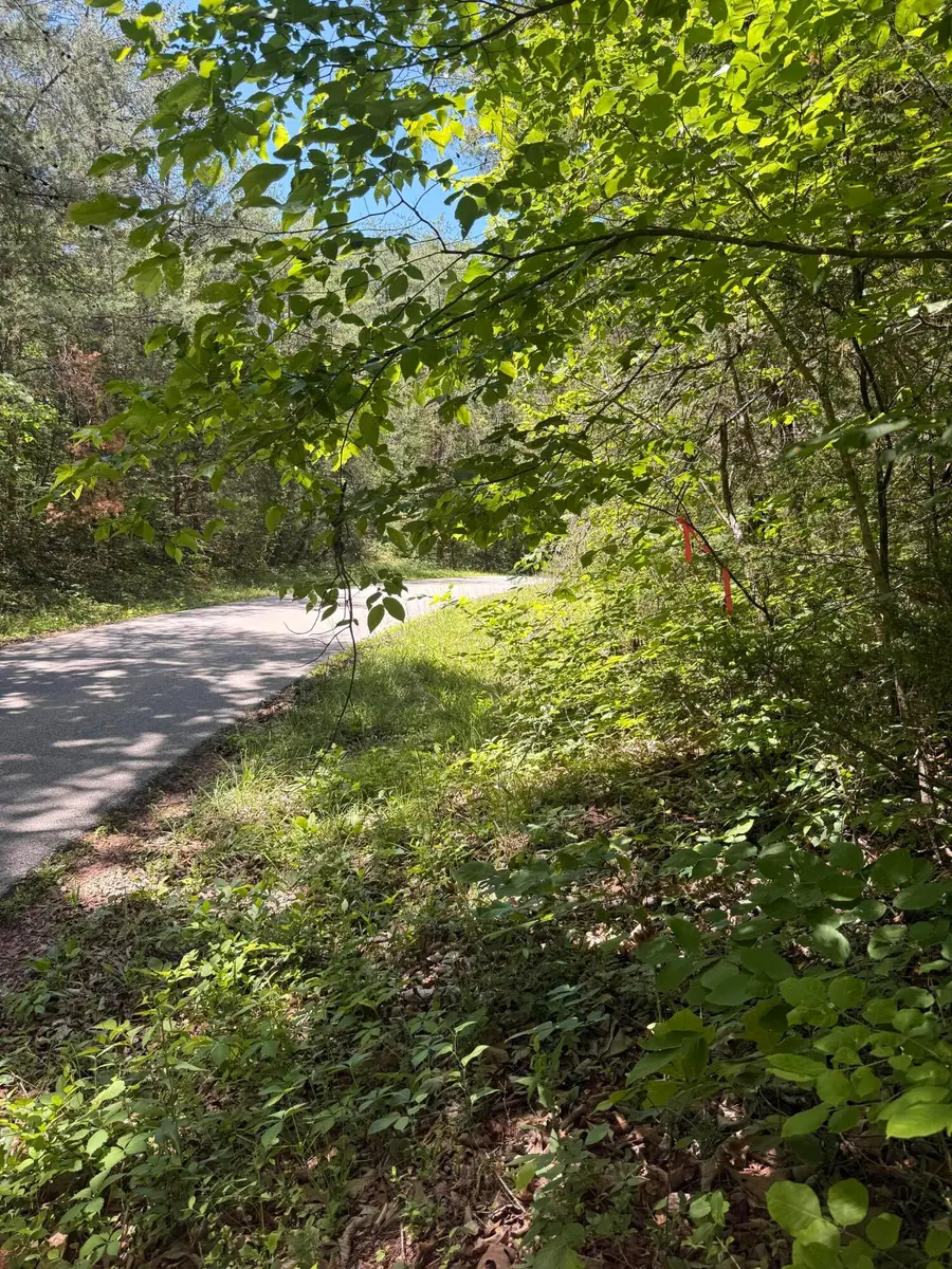 1-14 Pine Tree Road, Nancy, KY 42544 - #2