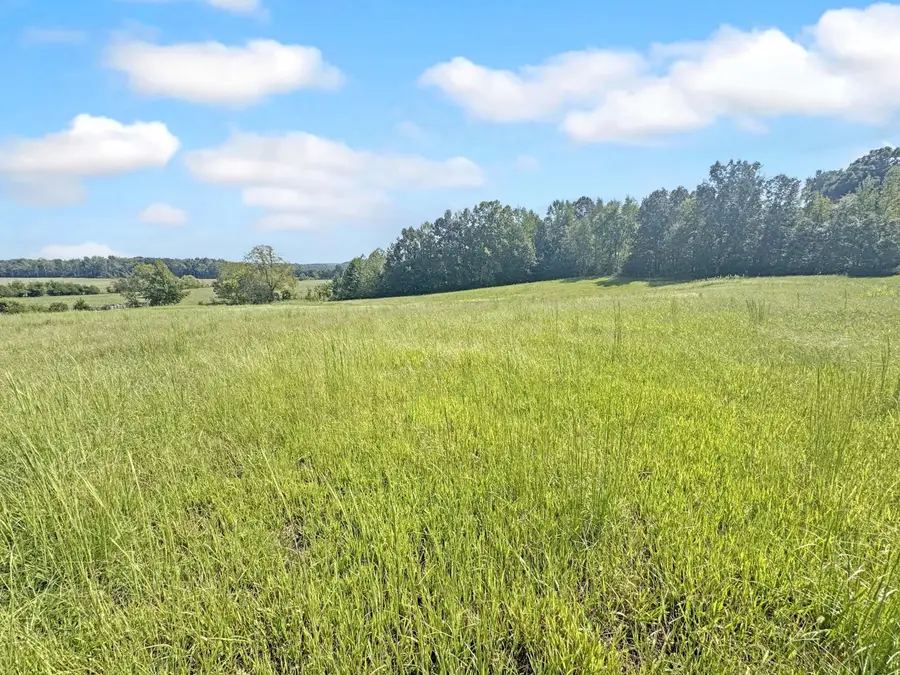 000 Boitnott Ford Road, Princeton, KY 42445 - #2