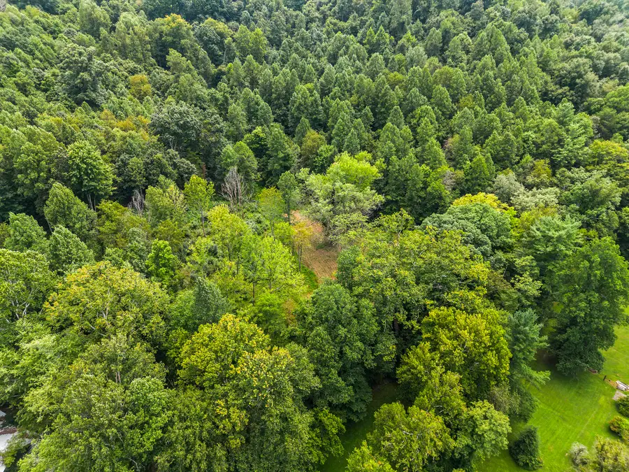 2206 W Ike Patton Drive, Ashland, KY 41102 - #3
