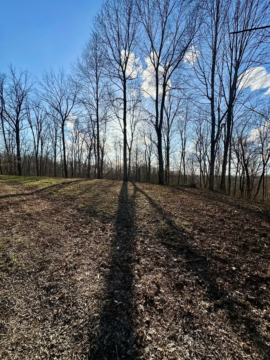 5 Malone Ridge Road, Albany, KY 42602 - #2