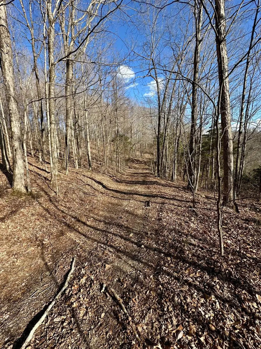 5 Malone Ridge Road, Albany, KY 42602 - #3