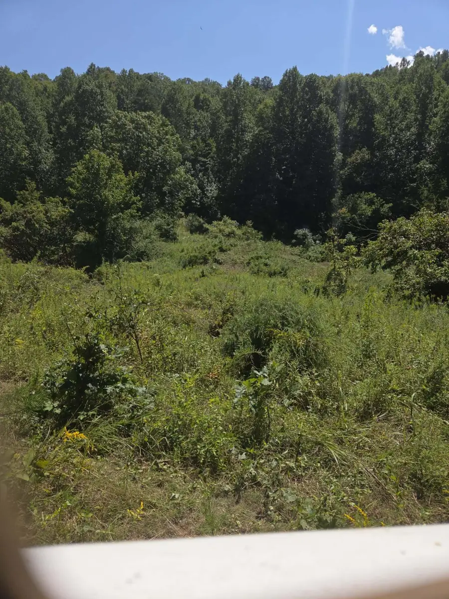 265 Cox Road, Irvine, KY 40336 - #2