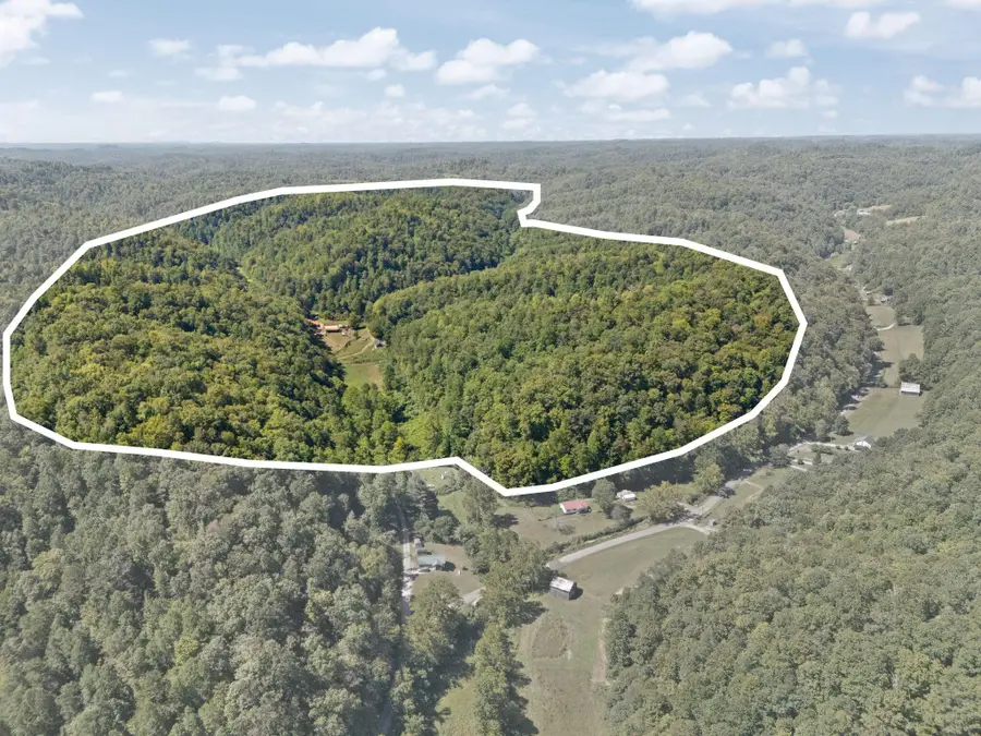 270 Left Fork Holly Road, Sextons Creek, KY 40983 - #2