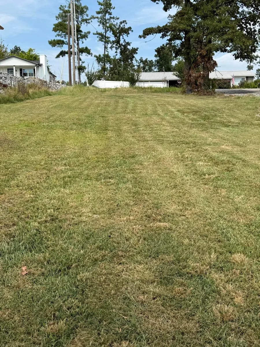Lot 67 NE Enterprise Lane, Gilbertsville, KY 42044 - #2