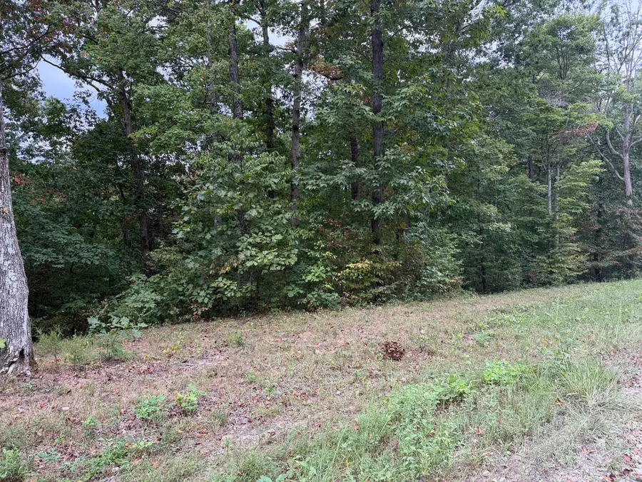 Lot 5 N Shore Drive, Monticello, KY 42633 - #3