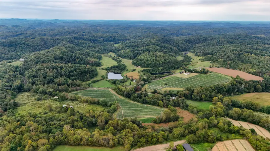 11785 Mcwhorter Road, London, KY 40741 - #2