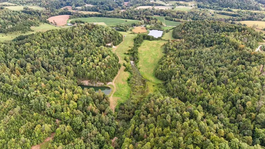 11785 Mcwhorter Road, London, KY 40741 - #3
