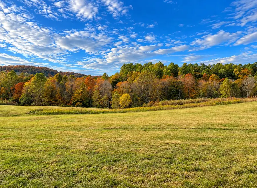 376 Statham Road, Liberty, KY 42539 - #2