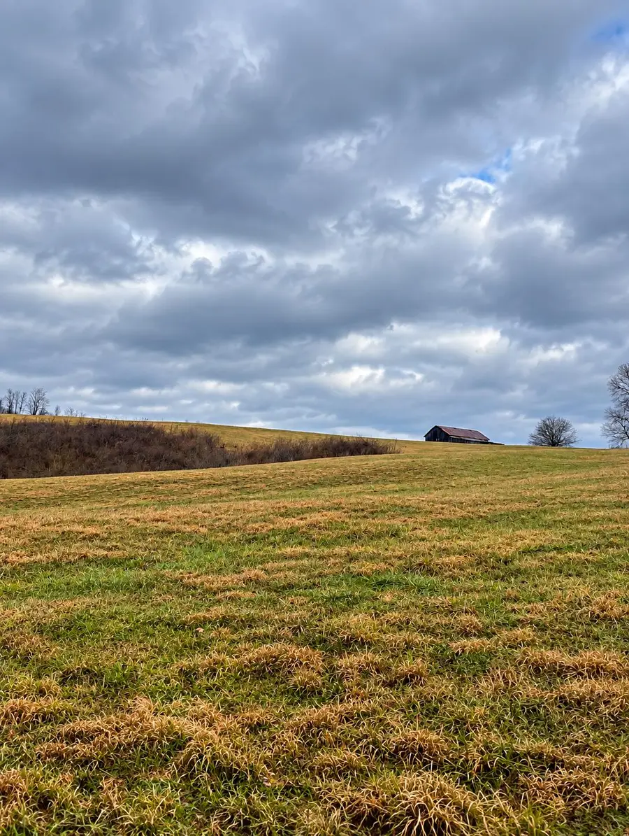 376 Statham Road, Liberty, KY 42539 - #3