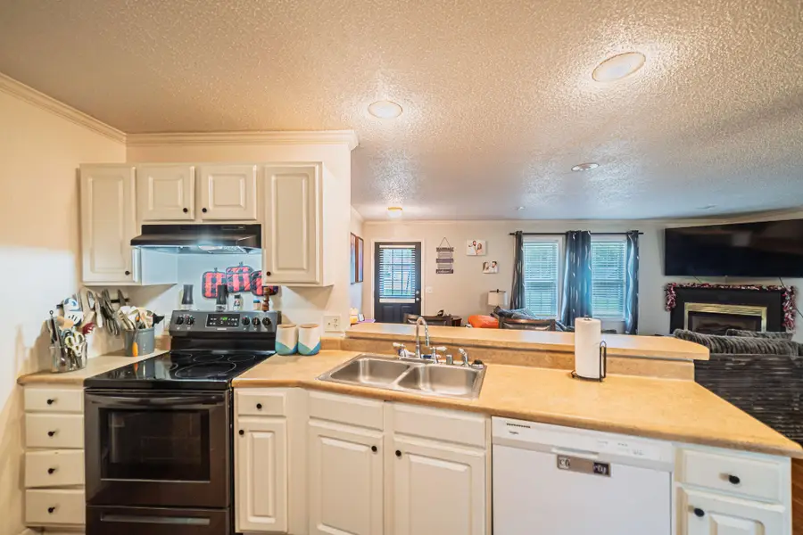 140 Caleb Drive, Mayfield, KY 42066 - #3