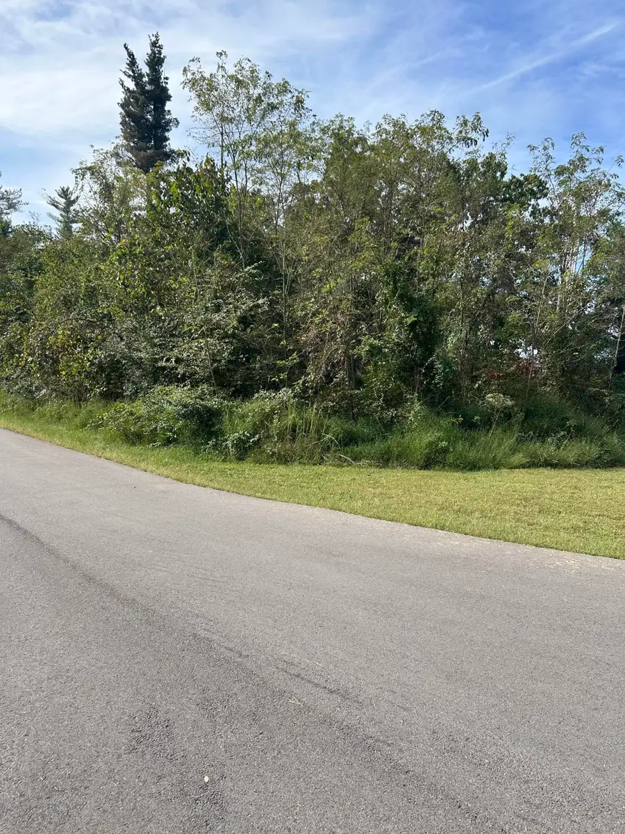 56 Hills Hollow Road #Lot 56, Murray, KY 42071 - #3