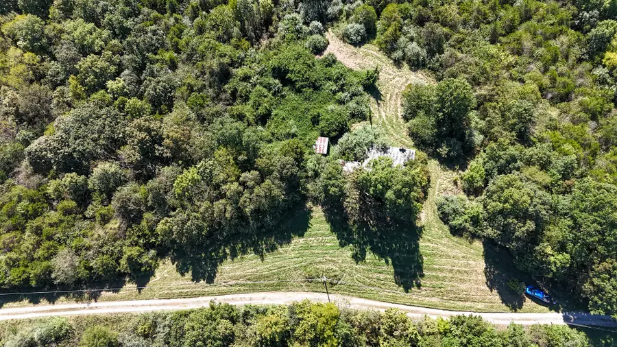 948 Arrowhead Lake Road, Sadieville, KY 40370 - #3