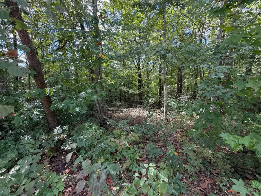 00 E Taxiway Drive #Lot 20, Albany, KY 42602 - #2