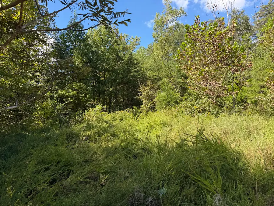 0 E Taxiway Drive #Lot 18, Albany, KY 42602 - #2