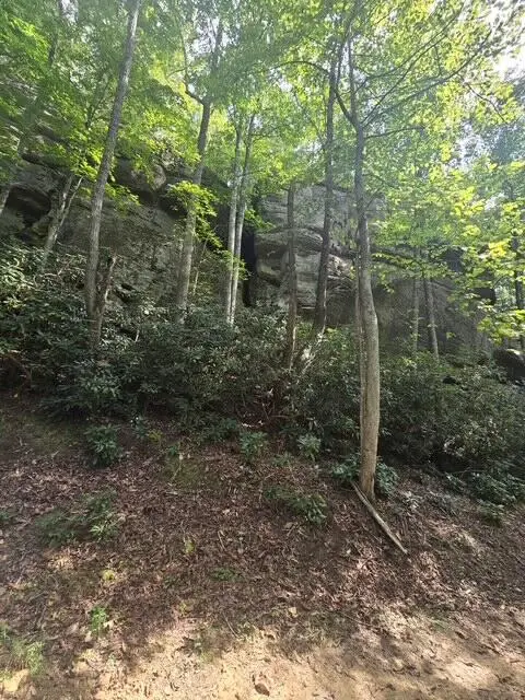 Lot 87 Fixer Road, Zoe, KY 41397