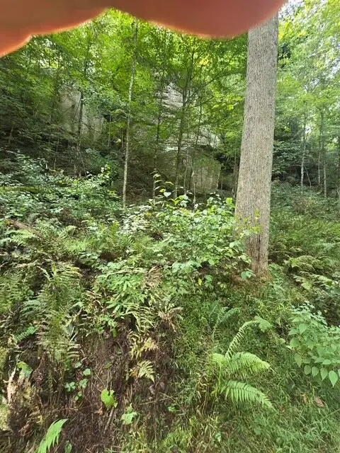 Lot 62 Fixer Road, Zoe, KY 41397 - #1