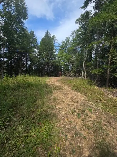 Lot 73 Fixer Road, Zoe, KY 41397 - #1