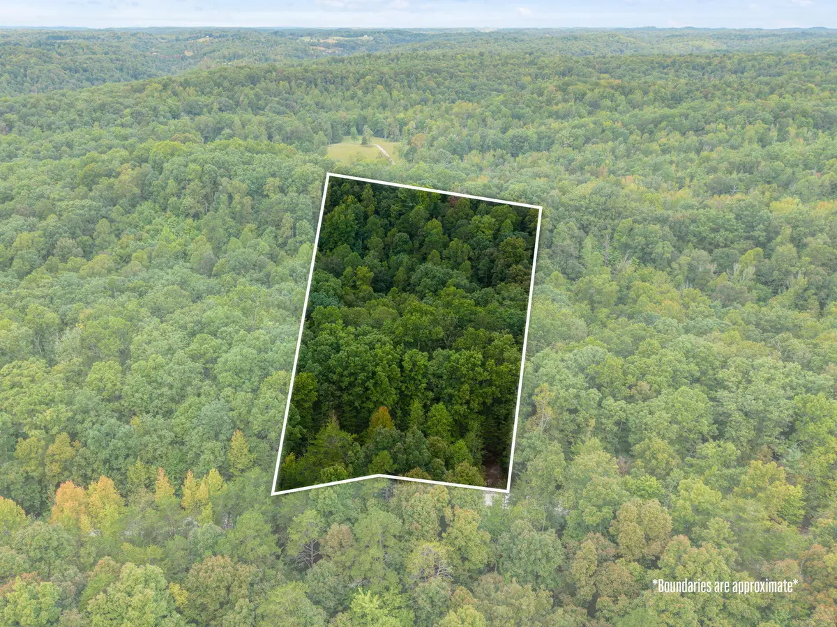 Lot 29 Angel Falls Road, Beattyville, KY 41311 - #1