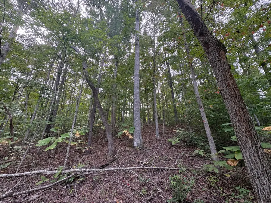 0009 Fincastle #Lot 9, Rogers, KY 41365 - #2
