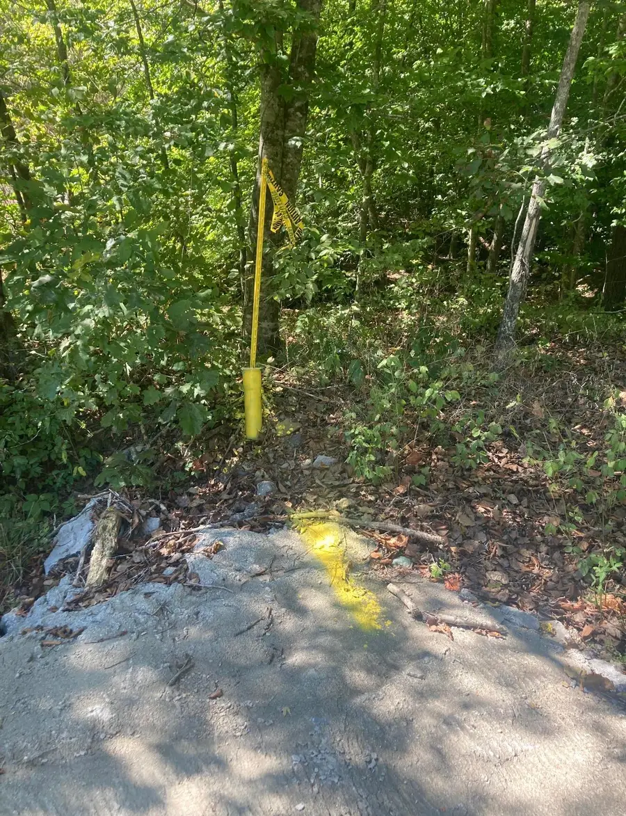 1581 Martins Trail, Stanford, KY 40484 - #3