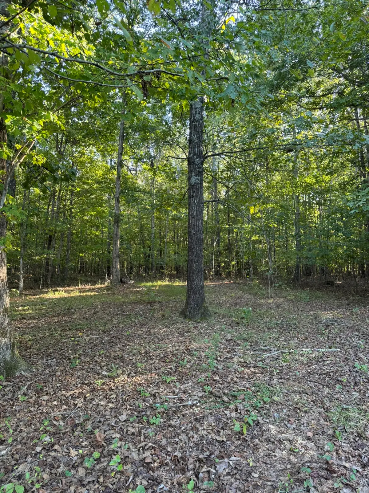 0003 Decatur Road, Russell Springs, KY 42642 - #1