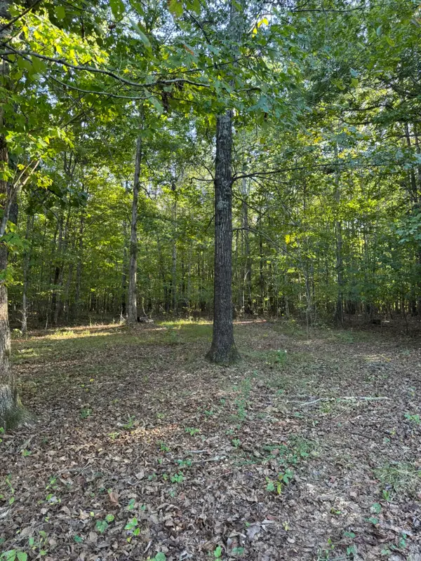0003 Decatur Road, Russell Springs, KY 42642