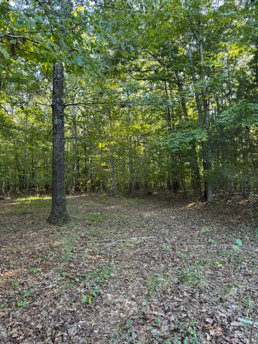 0003 Decatur Road, Russell Springs, KY 42642 - #2