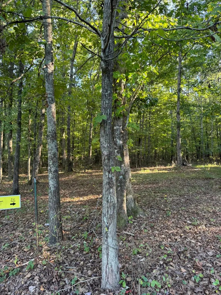 0003 Decatur Road, Russell Springs, KY 42642 - #3