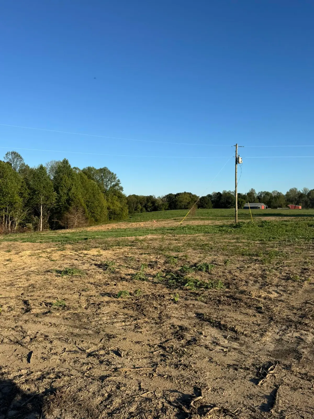 0002 Decatur Road, Russell Springs, KY 42642 - #1