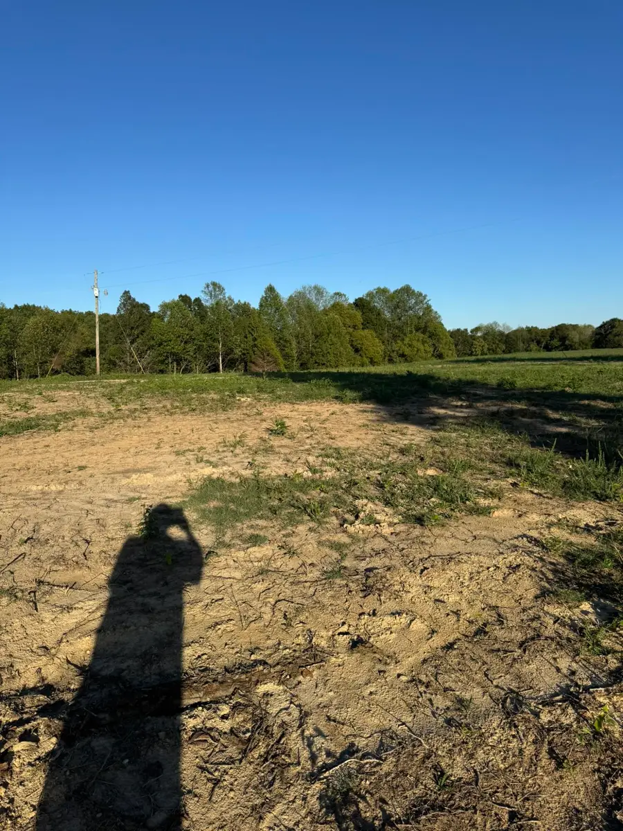 0002 Decatur Road, Russell Springs, KY 42642 - #3