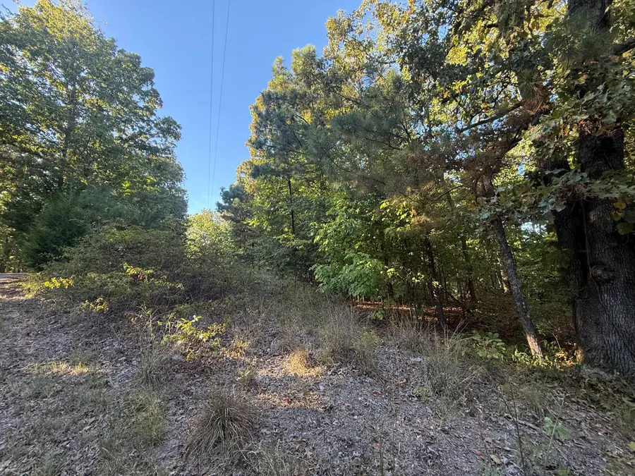 0 Little Oaks Lane, Murray, KY 42071 - #2