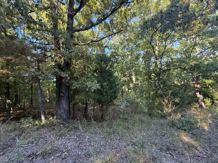 0 Little Oaks Lane, Murray, KY 42071 - #3
