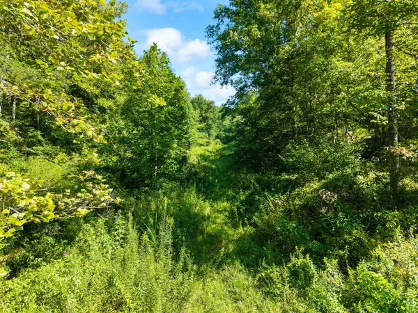 1222 Caney Fork Road, Booneville, KY 41314