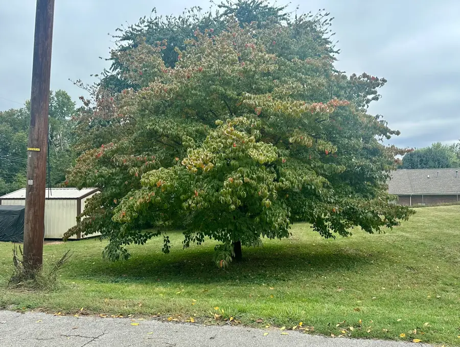 Lot 2 Sallee Street, Somerset, KY 42501 - #2