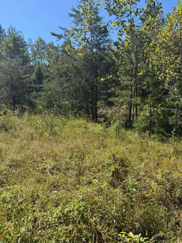 3825 Highway 191, West Liberty, KY 41472