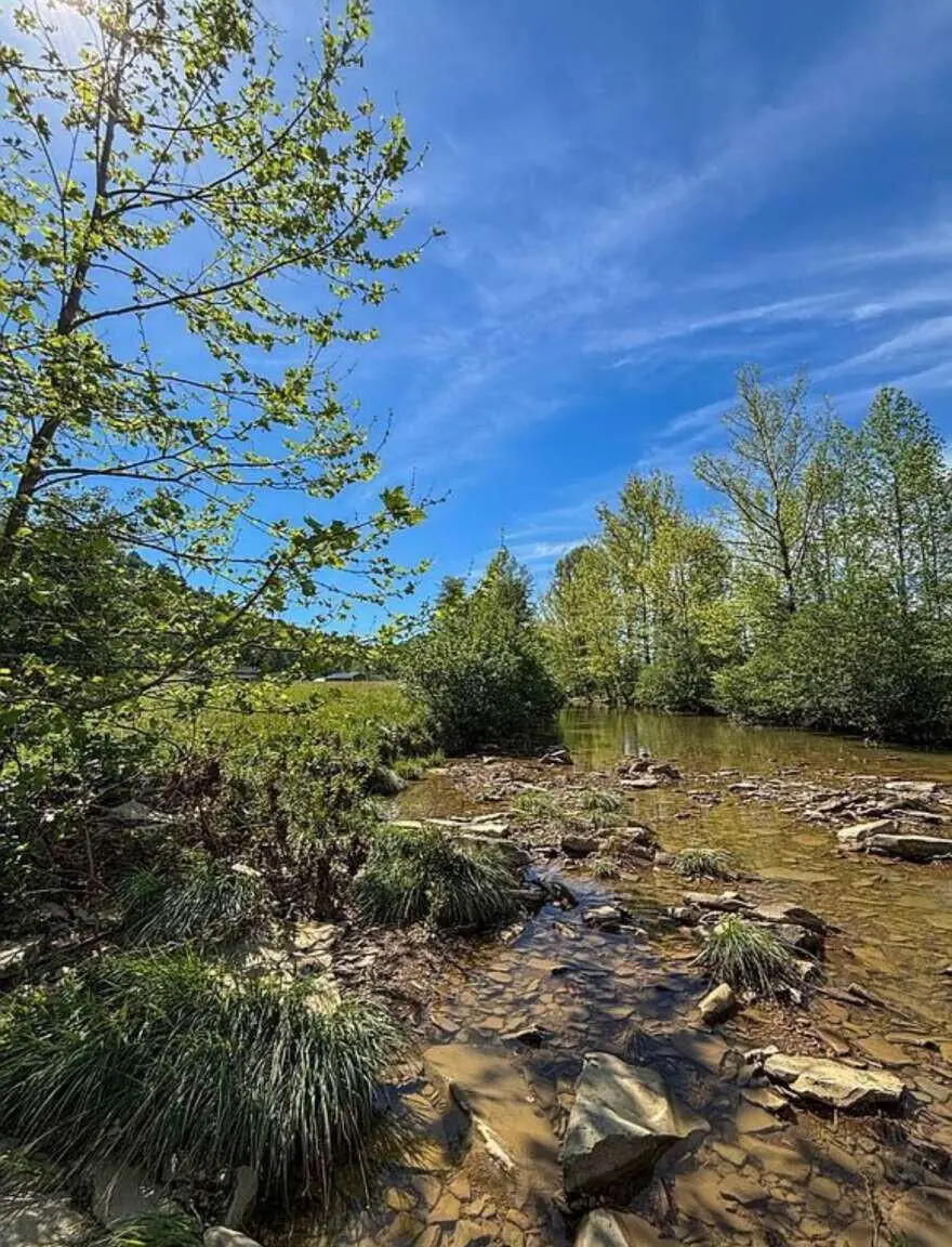 1000 Clearfork Road, Morehead, KY 40351 - #3