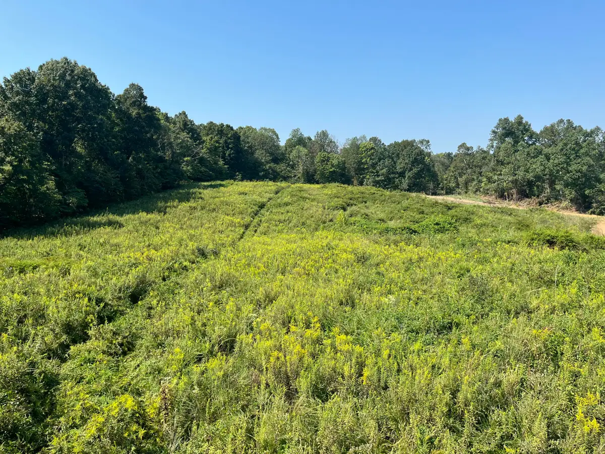0 Princeton Olney Road, Princeton, KY 42445 - #1