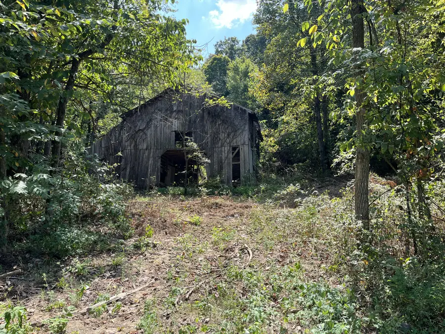 0 Princeton Olney Road, Princeton, KY 42445 - #3